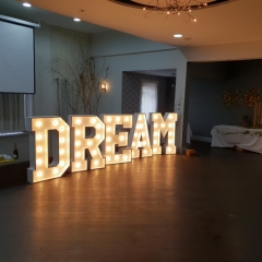 DREAM-at-Borringdon
